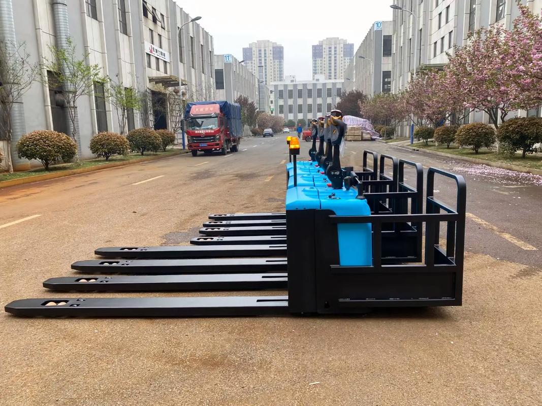 倉儲(chǔ)物流工廠非標(biāo)托盤搬運(yùn)車 額定載重2500kg的高效解決方案